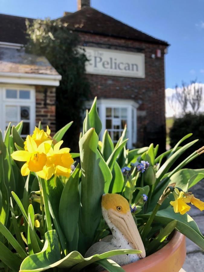 The Pelican Inn 프록스필드 외부 사진